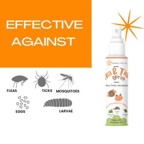 Flea & Tick  Shampoo for  Pets - Powered by  Plant based Natural